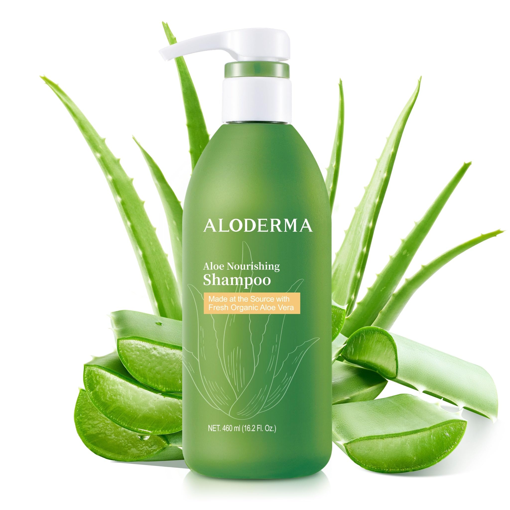 Shampooing Aloderma Aloe Nourrissant en bouteille, hydratation douce pour cheveux secs