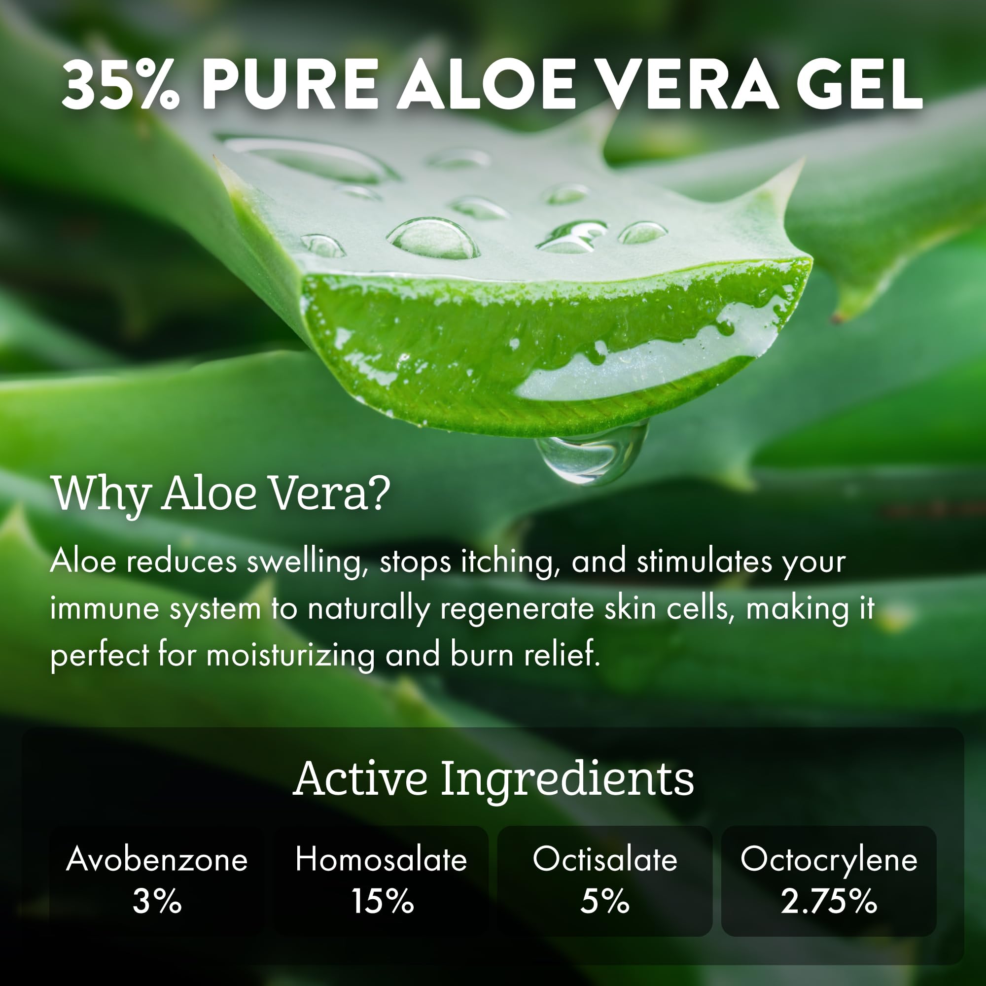 Aloe Up Absorption rapide, fini sec et non gras.