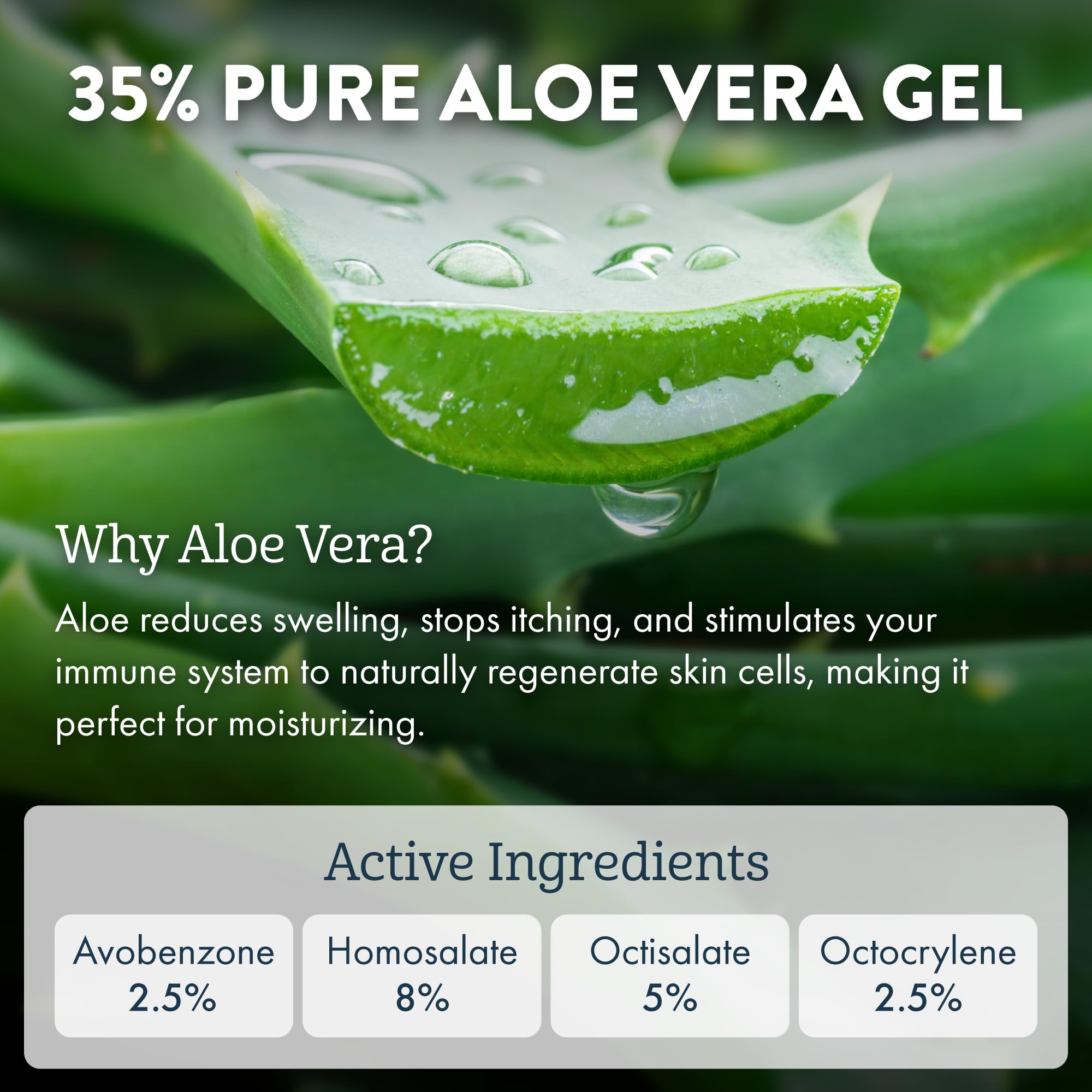Aloe Up base visage pour maquillage sans effort.