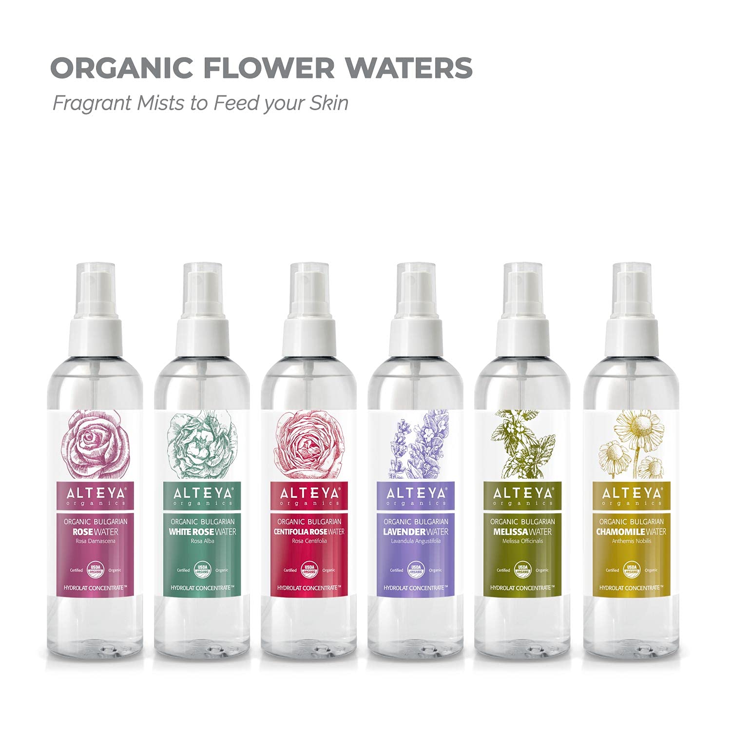 Brume quotidienne d’eau de rose Alteya pour le visage et les cheveux.