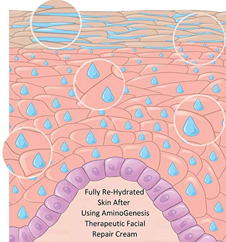 AminoGenesis routine matin soir: peau équilibrée et rayonnante