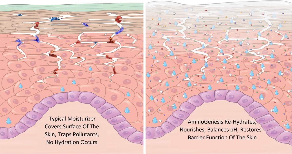 AminoGenesis texture nourrissante sur peau sèche
