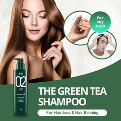 Shampoing AMOS PROFESSIONAL avec feuilles de menthe pour fraîcheur durable