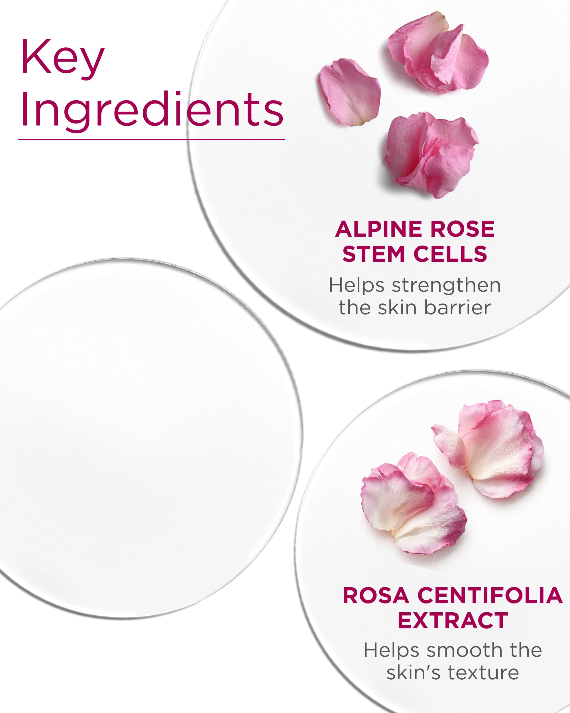 Andalou Naturals 1000 Roses – cellules souches de rose alpine pour revitalisation.