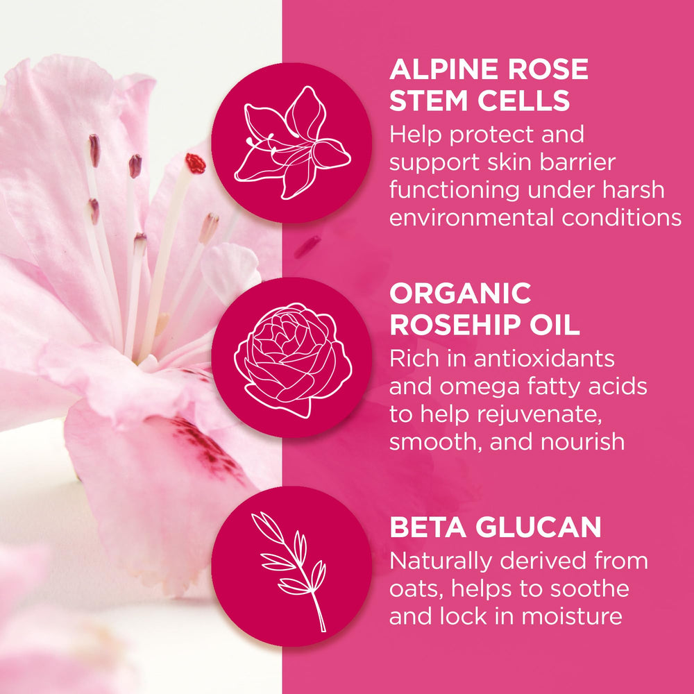 Andalou Naturals 1000 Roses cellules souches rose alpine: protection et douceur des levres