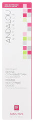 Andalou Naturals 1000 Roses: bouteille mousse visage, nettoyage doux pour peaux sensibles.