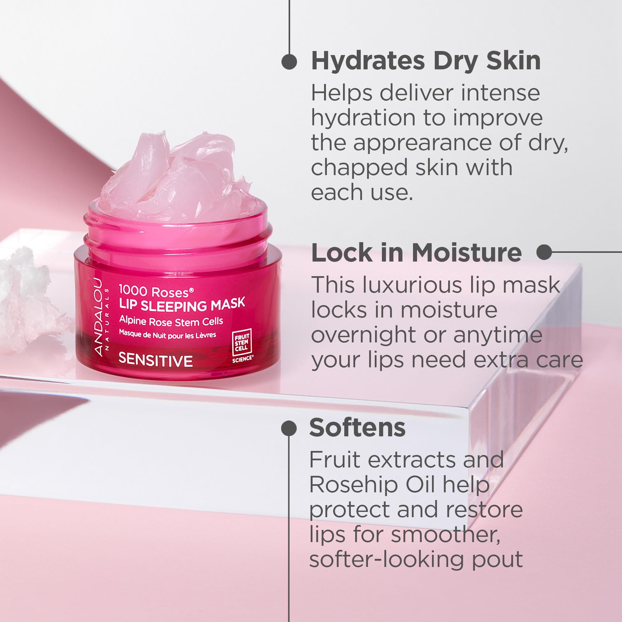 Andalou Naturals 1000 Roses soin levres quotidien: nourrit et protege les levres
