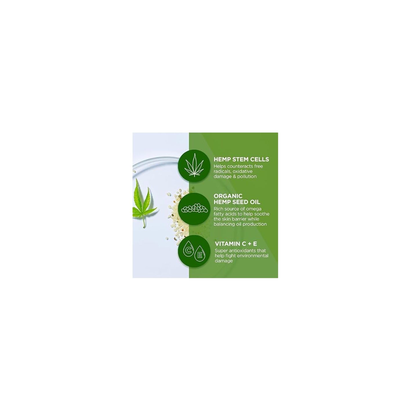 Cannacell Crème Nuit, cellules souches de chanvre pour protection cutanée