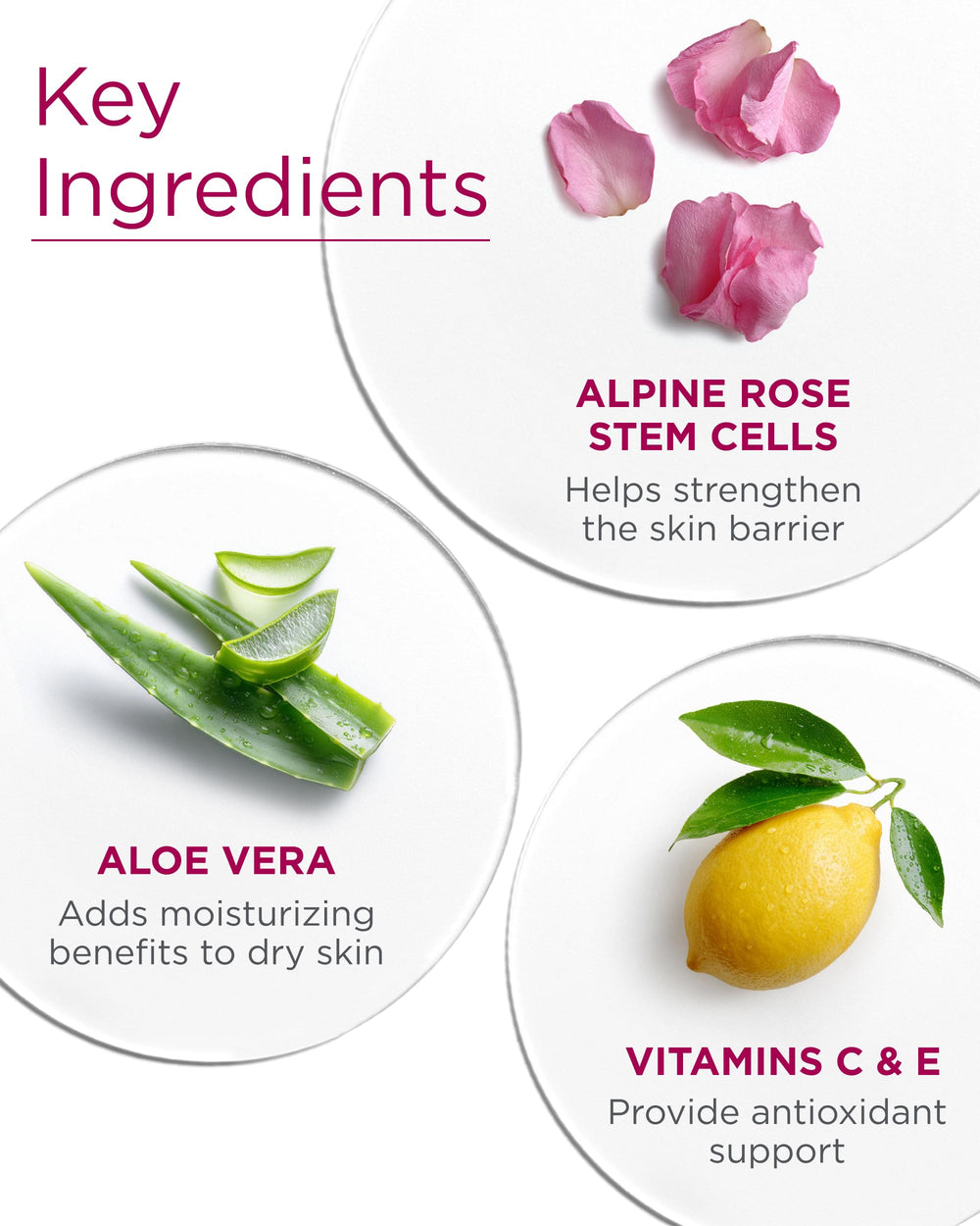Andalou Naturals: rose-centifolia-apaisante — apaise les peaux sèches et sensibles.