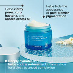 Texture onctueuse de la crème Andalou Naturals Argane Stem Cell prête à l’application.