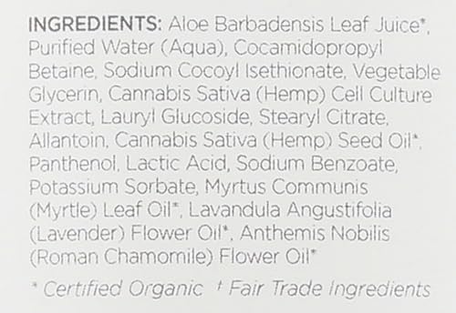 Application relaxante de la lotion CannaCell Harmony pour le bien être quotidien