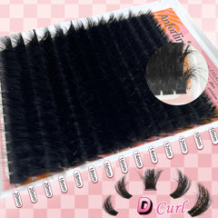 Anforlin clusters 200D D Curl: volume profond et courbe stable