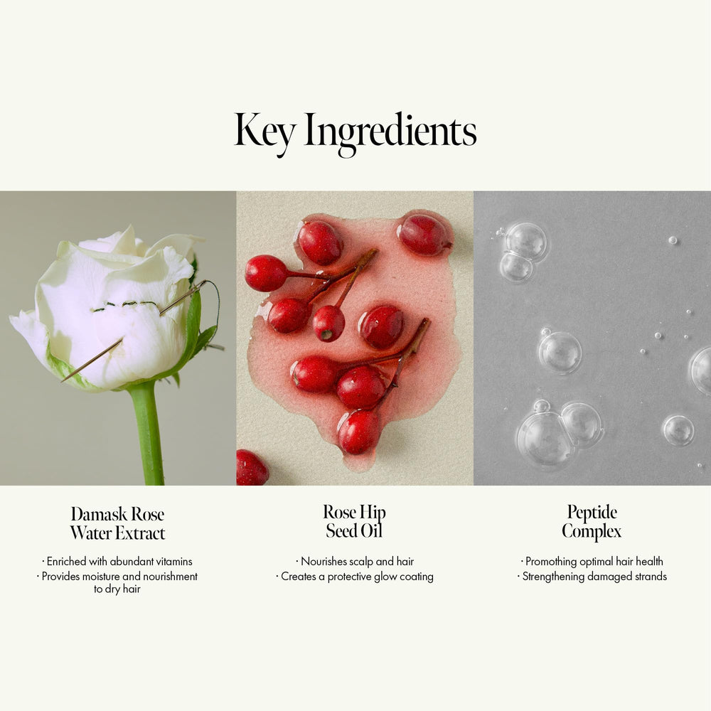 Texture onctueuse du shampoing ANILLO promettant une hydratation durable.