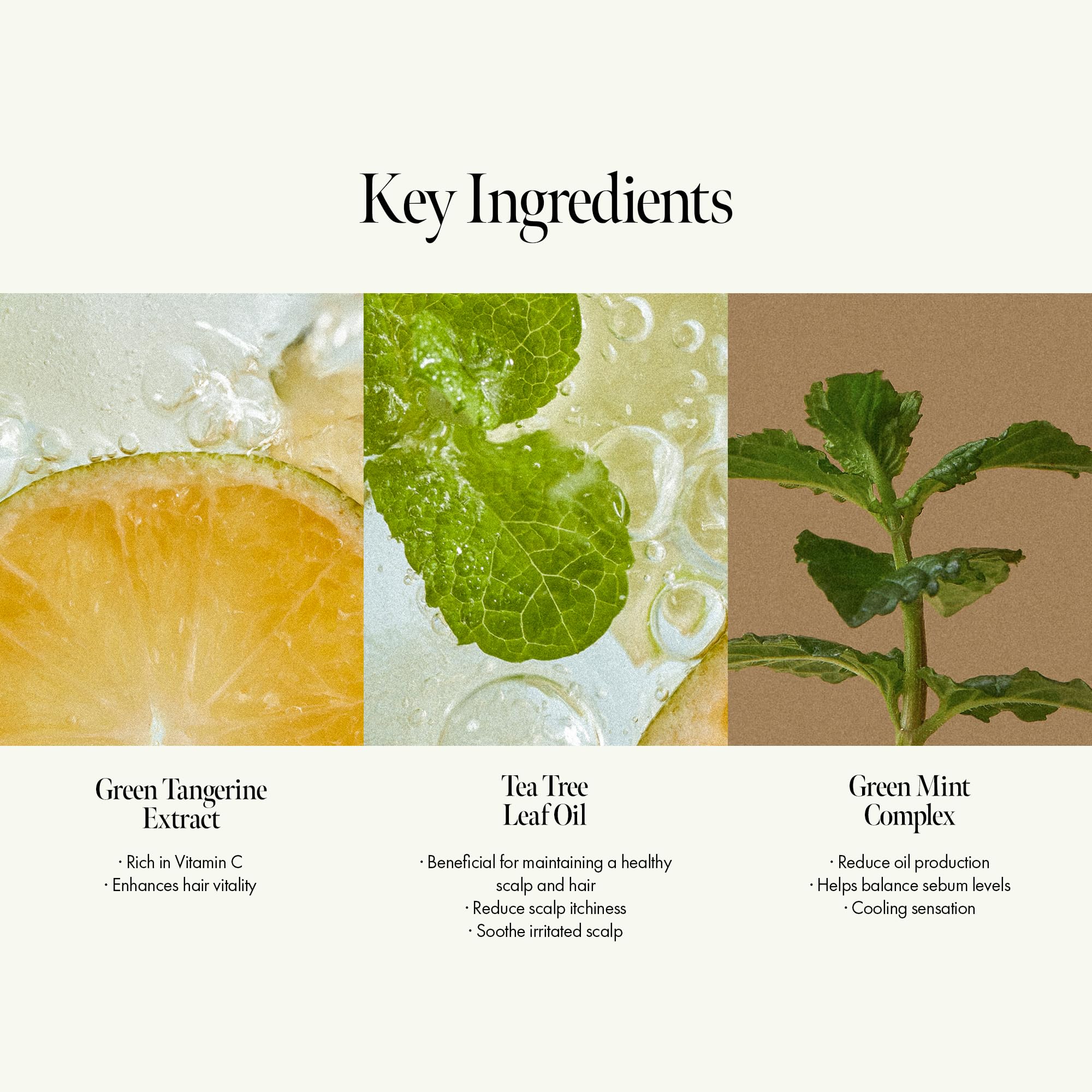 ANILLO – Etiquette vegan et sans parabènes, identité produit.
