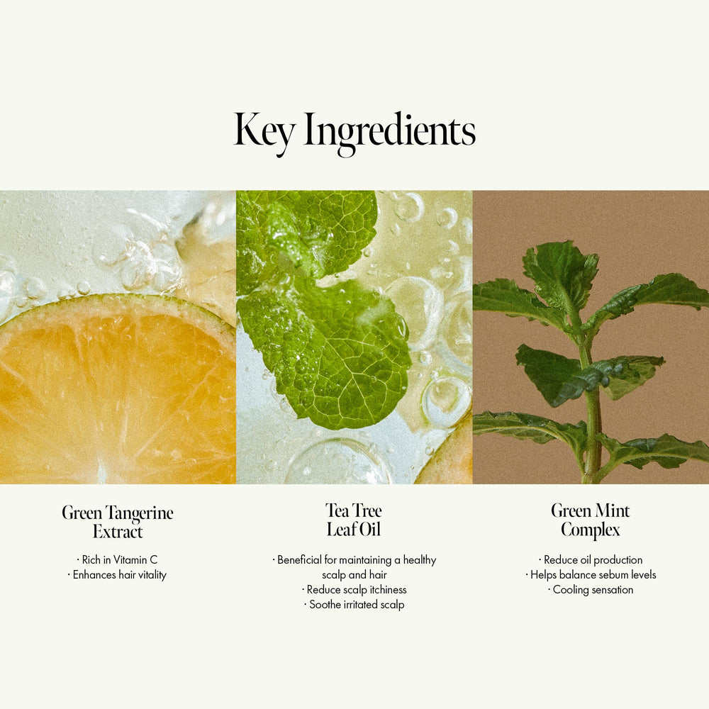ANILLO – Etiquette vegan et sans parabènes, identité produit.