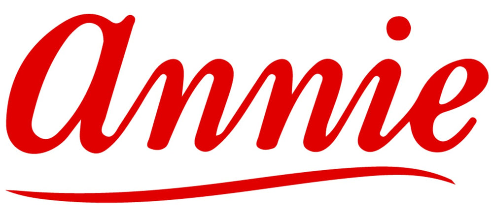 Annie conception manche métal robuste, usage professionnel ou à domicile