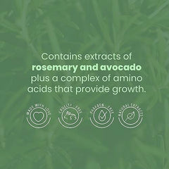 ANYELUZ ingrédients Bioelixir – Romarin et avocat pour nourrir les longueurs en profondeur.
