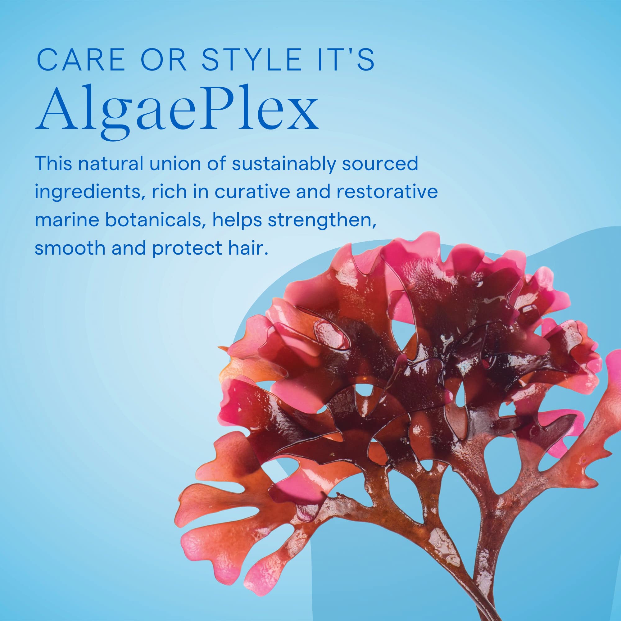 Brillance douce apportée par SeaExtend Silkening Conditioner Aquage sur les longueurs.