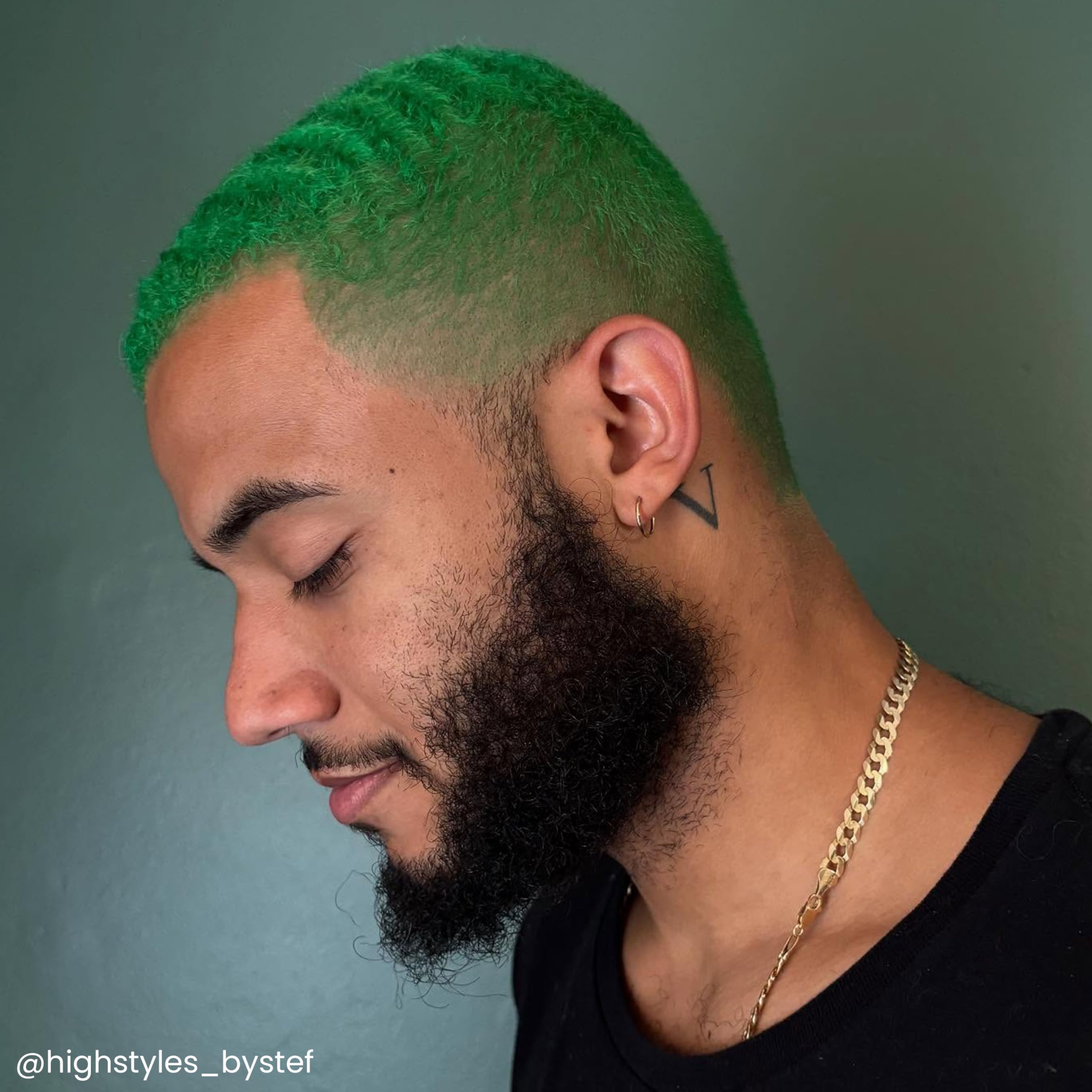 ARCTIC FOX Iris Green — application facile et couleur sans ammoniaque.