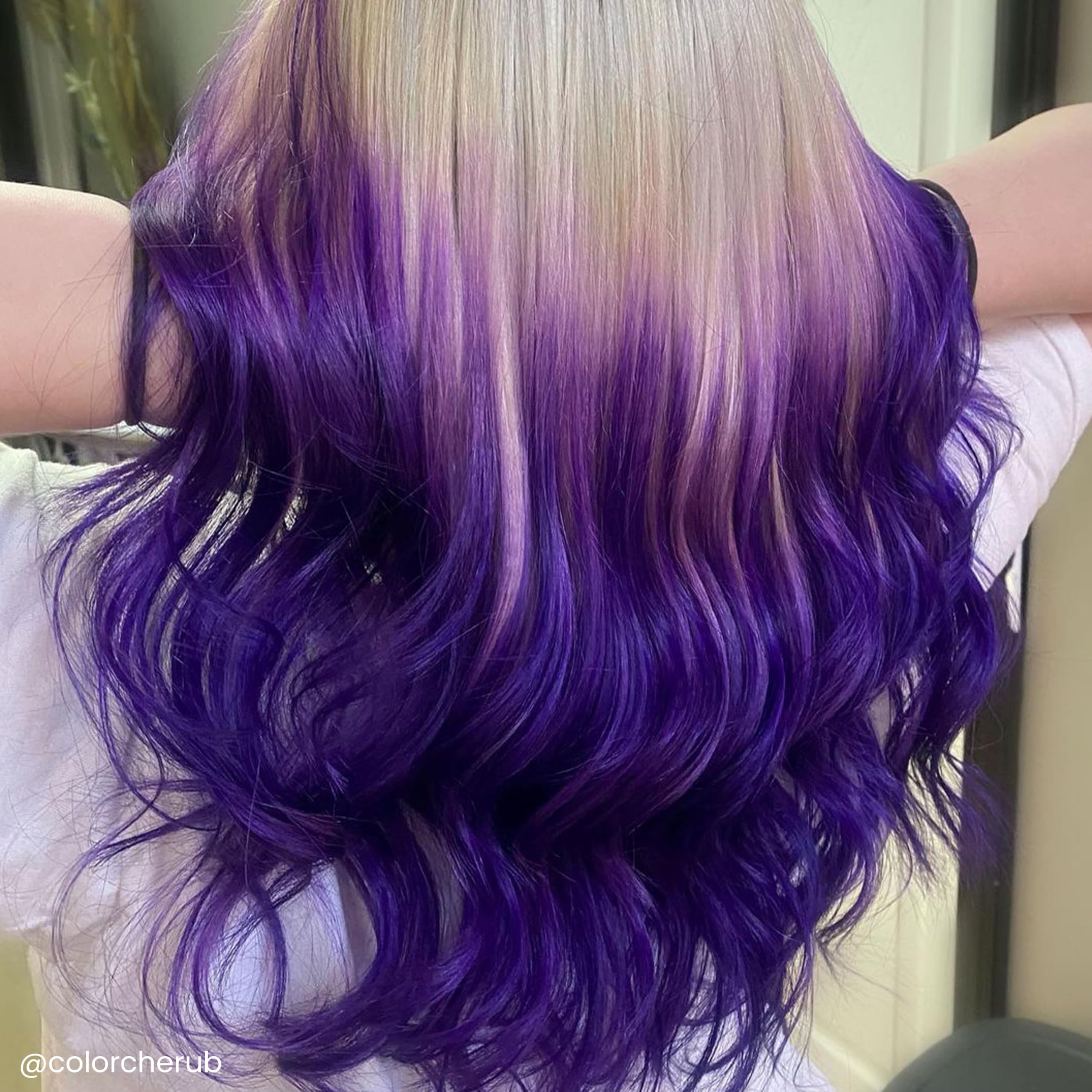 ARCTIC FOX Purple AF: soin après teinture offrant conditionnement et revitalisation.