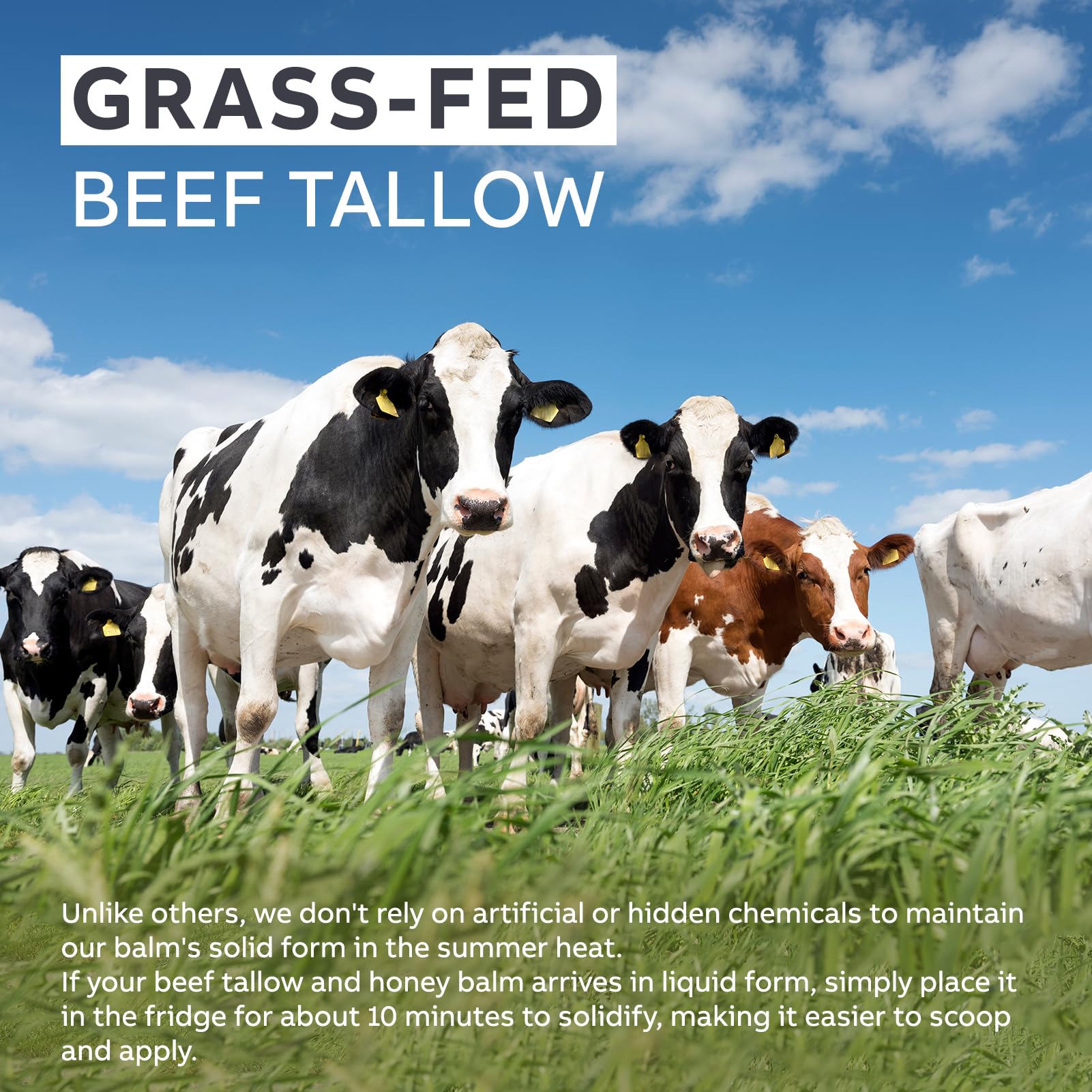 Formulation bio Arlun graisses de boeuf et miel