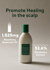 AROMATICA Romarin - Nutrition profonde pour cheveux secs et abîmés