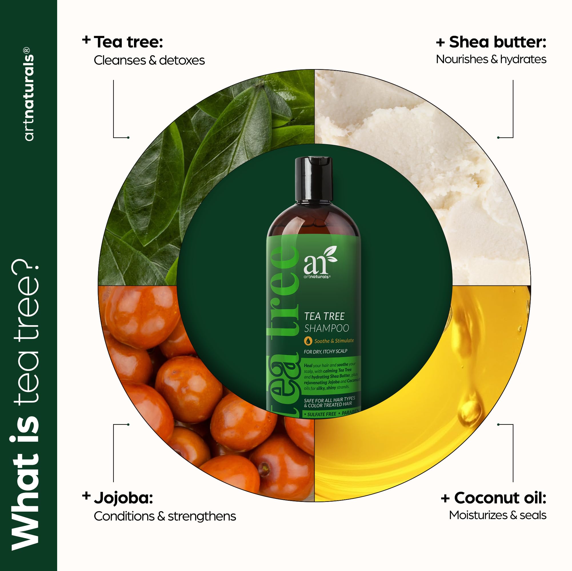Artnaturals Shampoing arbre à thé – gouttes d'arbre à thé et parfum frais.