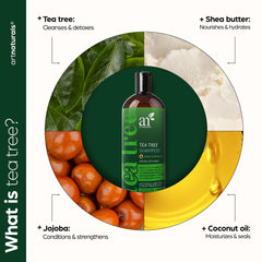 Artnaturals Shampoing arbre à thé – gouttes d'arbre à thé et parfum frais.