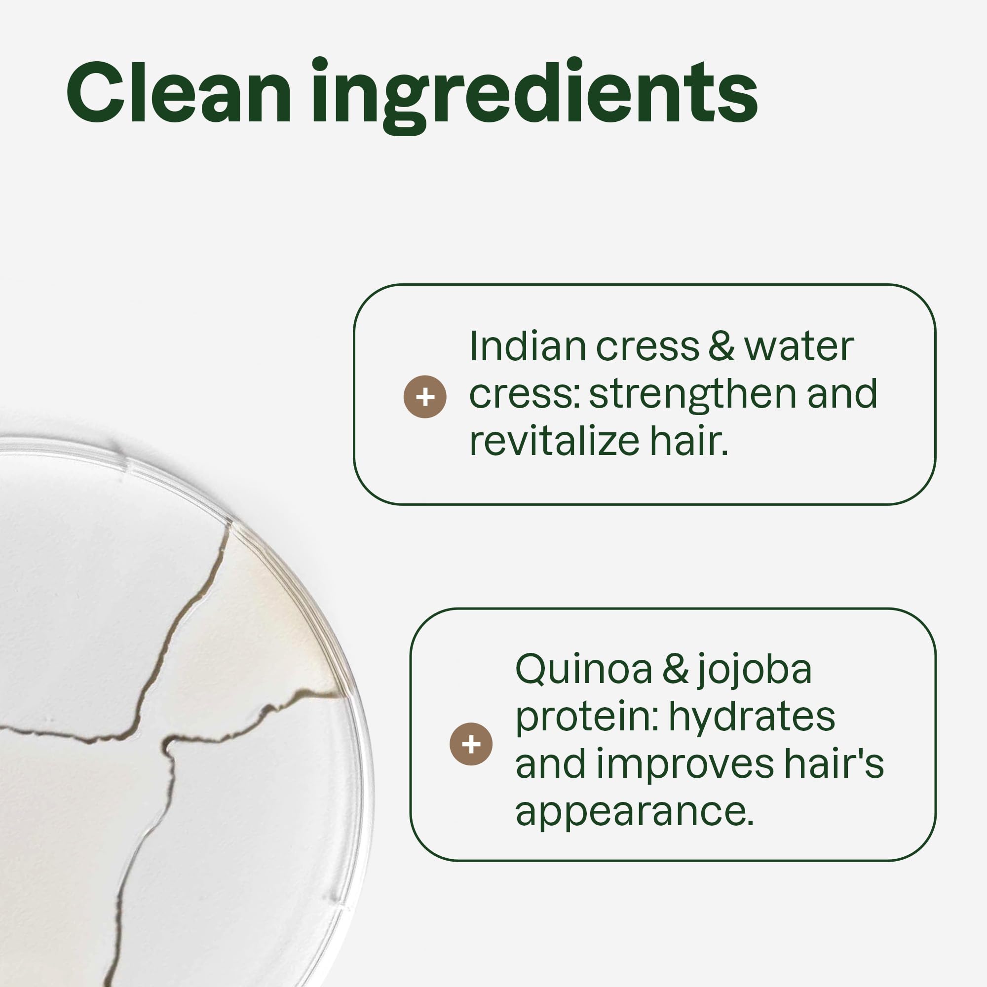 Extrait végétal et huiles essentielles dans l après-shampooing ATTITUDE pour soin nourrissant.
