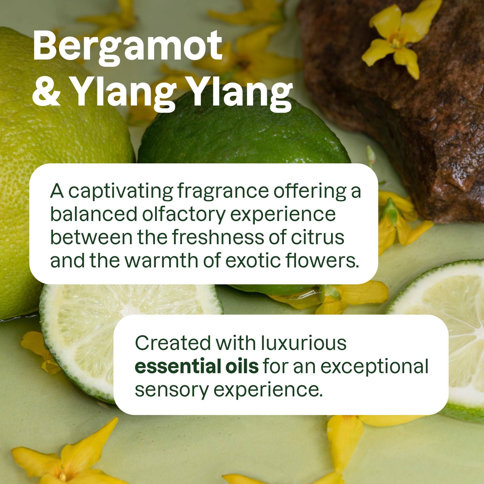 ATTITUDE Shampoing Nourrissant Bergamote et Ylang-Ylang, cheveux propres et revitalisés.