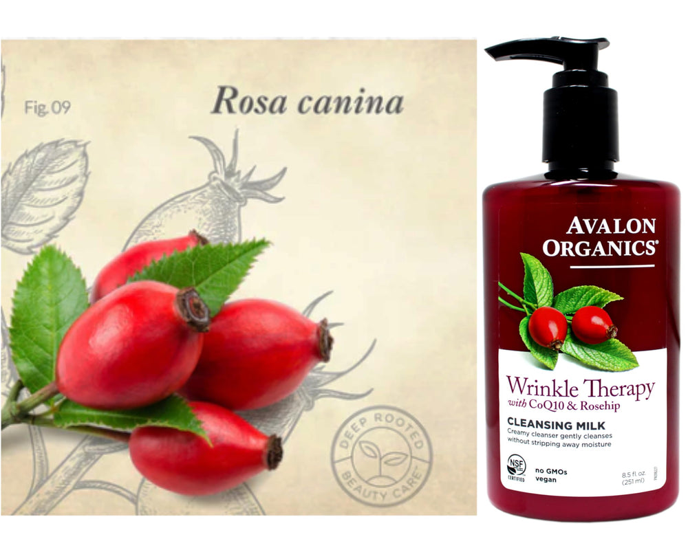 Avalon Organics CoQ10 Lait Nettoyant Visage – pack de deux pour une routine durable.