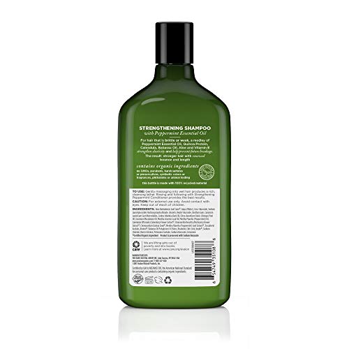 Pack de 3 bouteilles Avalon Menthe: soin capillaire durable et pratique.