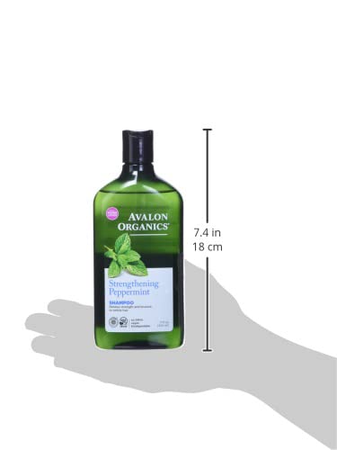 Avalon Organics Shampooing menthe, hydratation légère pour cheveux secs ou cassants.