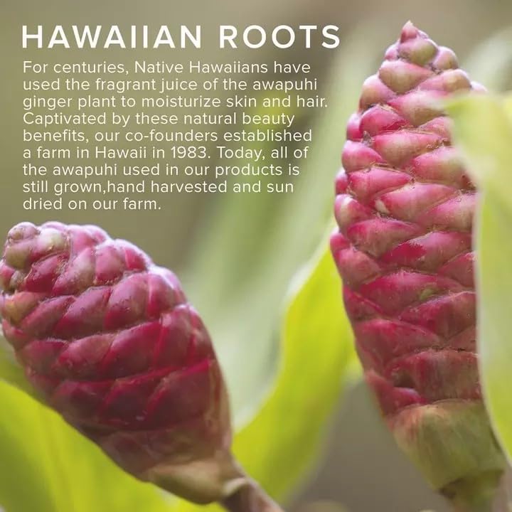 Awapuhi Wild Ginger – parfum tropical gingembre mangue