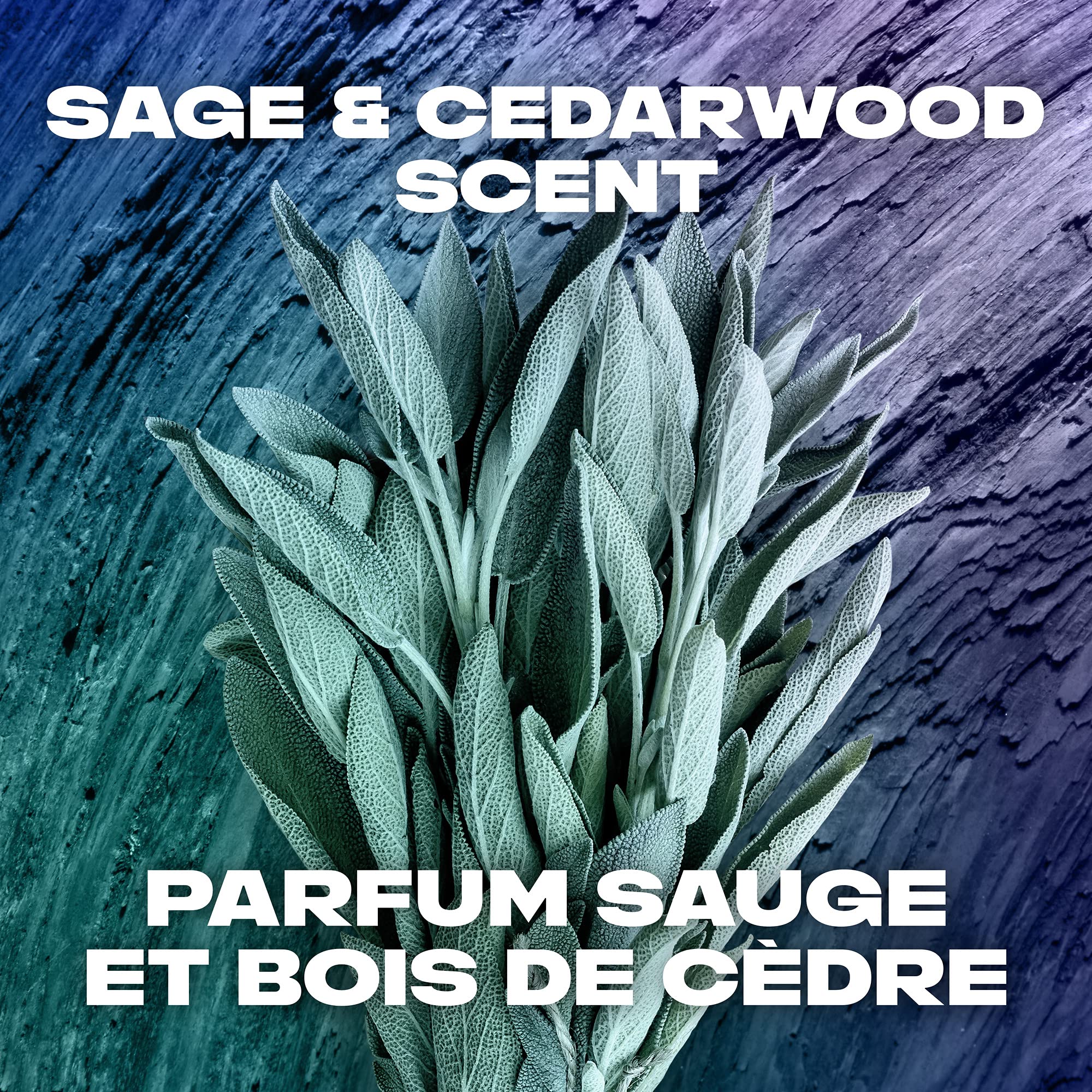 AXE Apollo 2 en 1: préparation au coiffage après lavage.