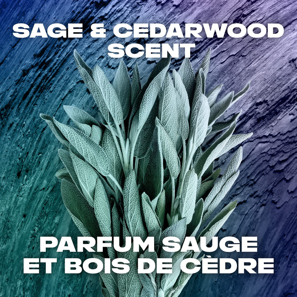 AXE Apollo 2 en 1: préparation au coiffage après lavage.