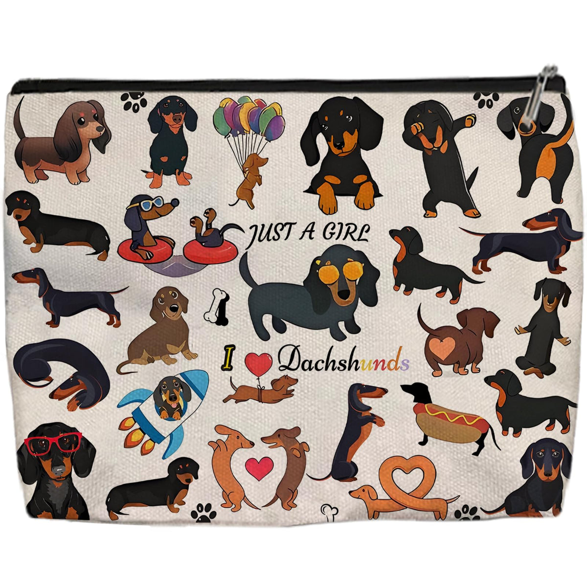 Trousse Aypvora teckel recto haute définition, idéale pour voyager