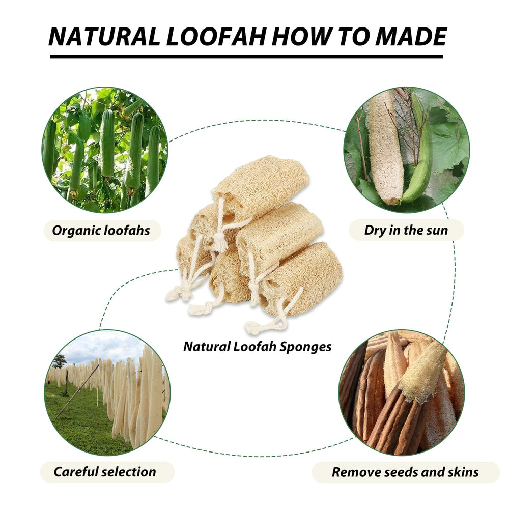 Balifeel Éponge Loofah – préparation rapide avant utilisation