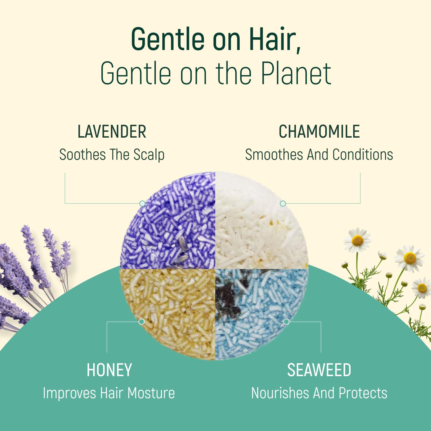 BAMBOEARTH Shampoing Solide Camomille: douceur et équilibre du cuir chevelu.