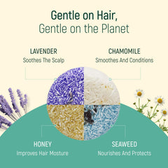 BAMBOEARTH Shampoing Solide Camomille: douceur et équilibre du cuir chevelu.
