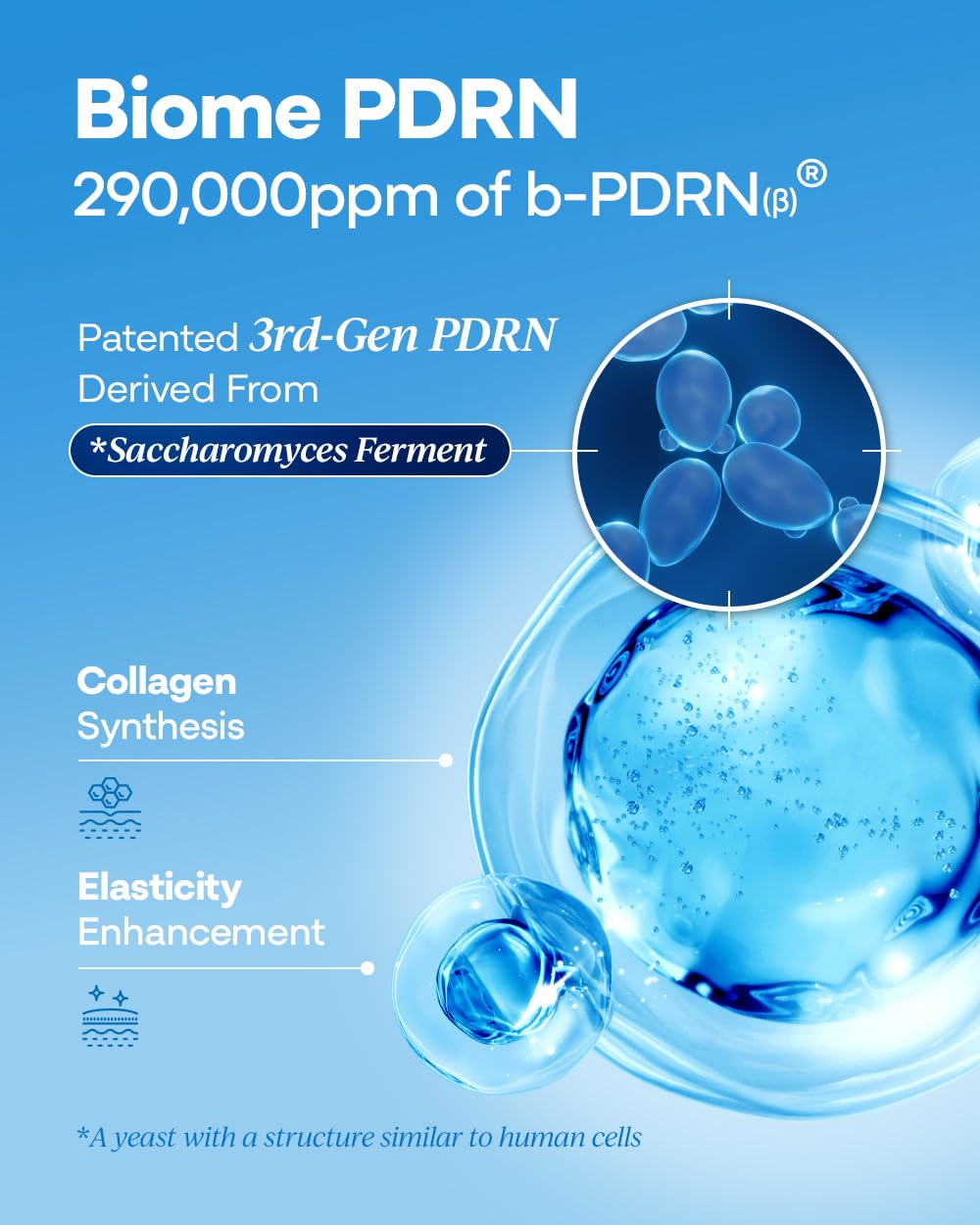 Hydratation renforcée par hyaluronate de sodium dans Bano PDRN 1000.
