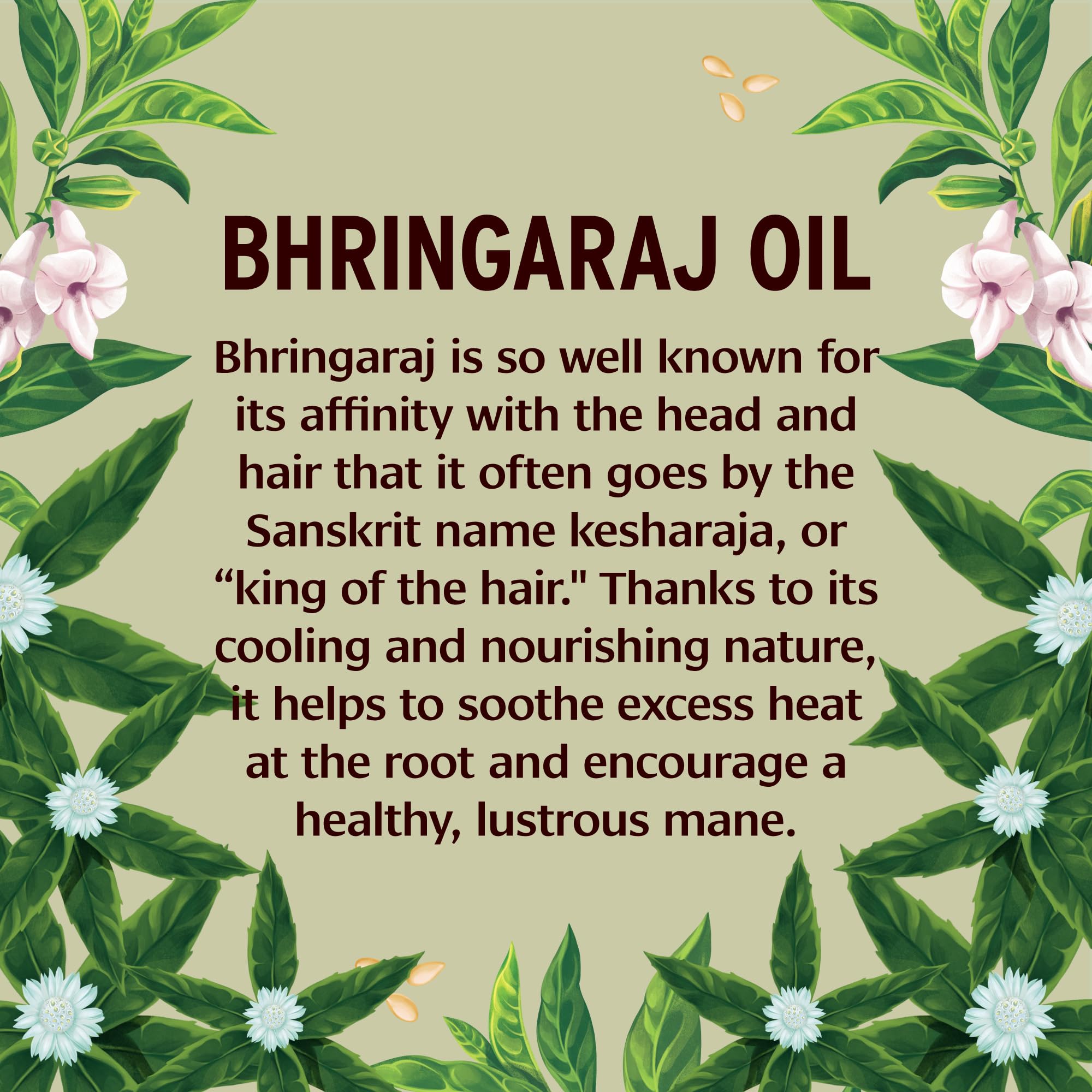 Cuir chevelu stimulé grâce à l’huile Bhringaraj Banyan Botanicals