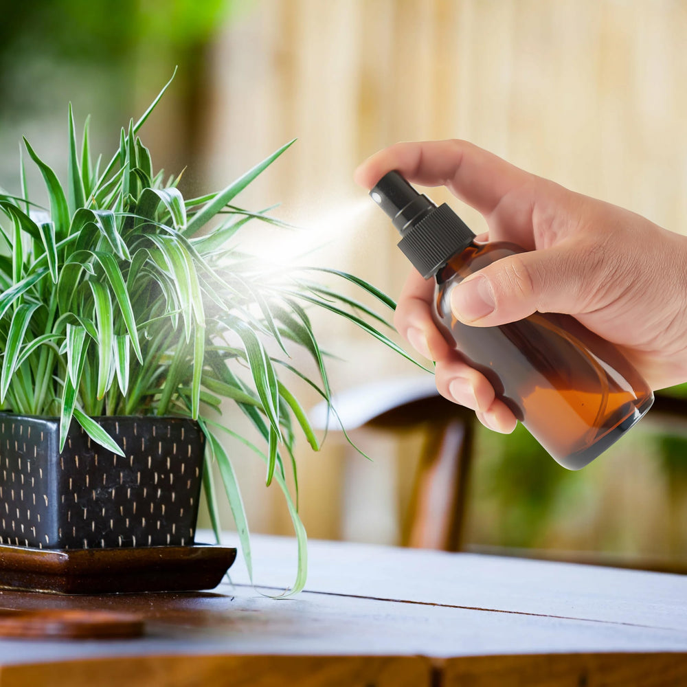 Bastelica étiquettes noires amovibles pour différencier les bouteilles