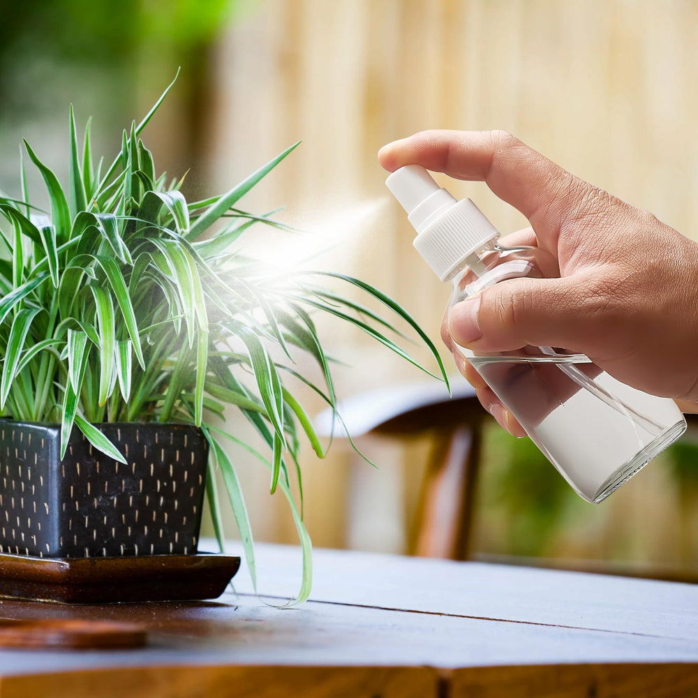 Grands entonnoirs Bastelica pour transvasage propre des liquides