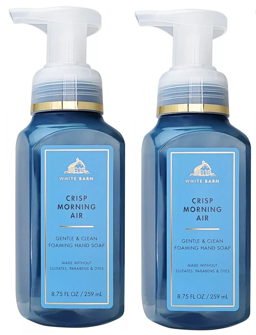 Bath & Body Works Savon mains moussant Air matin frais, idéal pour routine rapide et rafraîchissante.