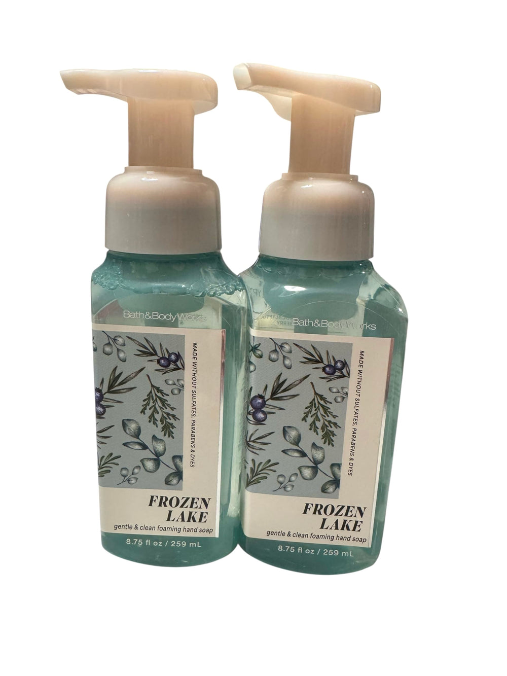 Bath & Body Works Gentle Foaming Hand Soap Frozen Lake bottle closeup highlighting creamy lather and moisture.