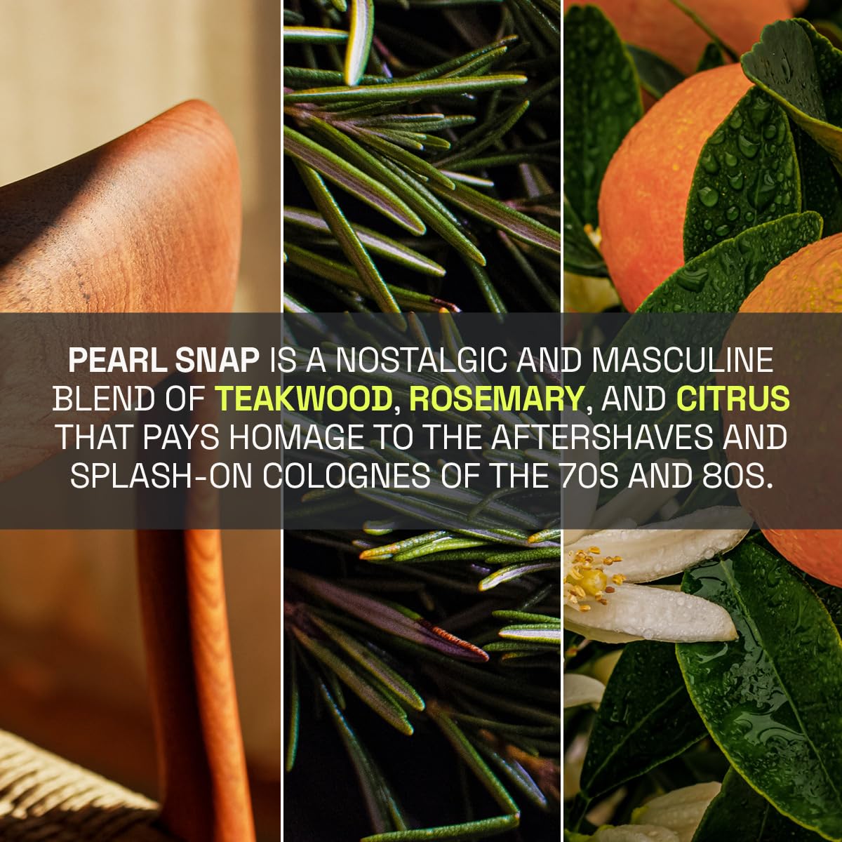 Beardbrand composition naturelle huiles graines, ingrédients d’origine naturelle.