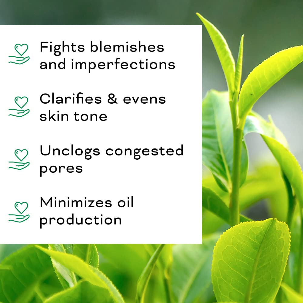 Beauty Foundry ingrédients vitamine E romarin huile tournesol – Soin nourrissant et protecteur.