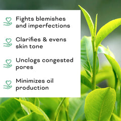 Beauty Foundry ingrédients vitamine E romarin huile tournesol – Soin nourrissant et protecteur.