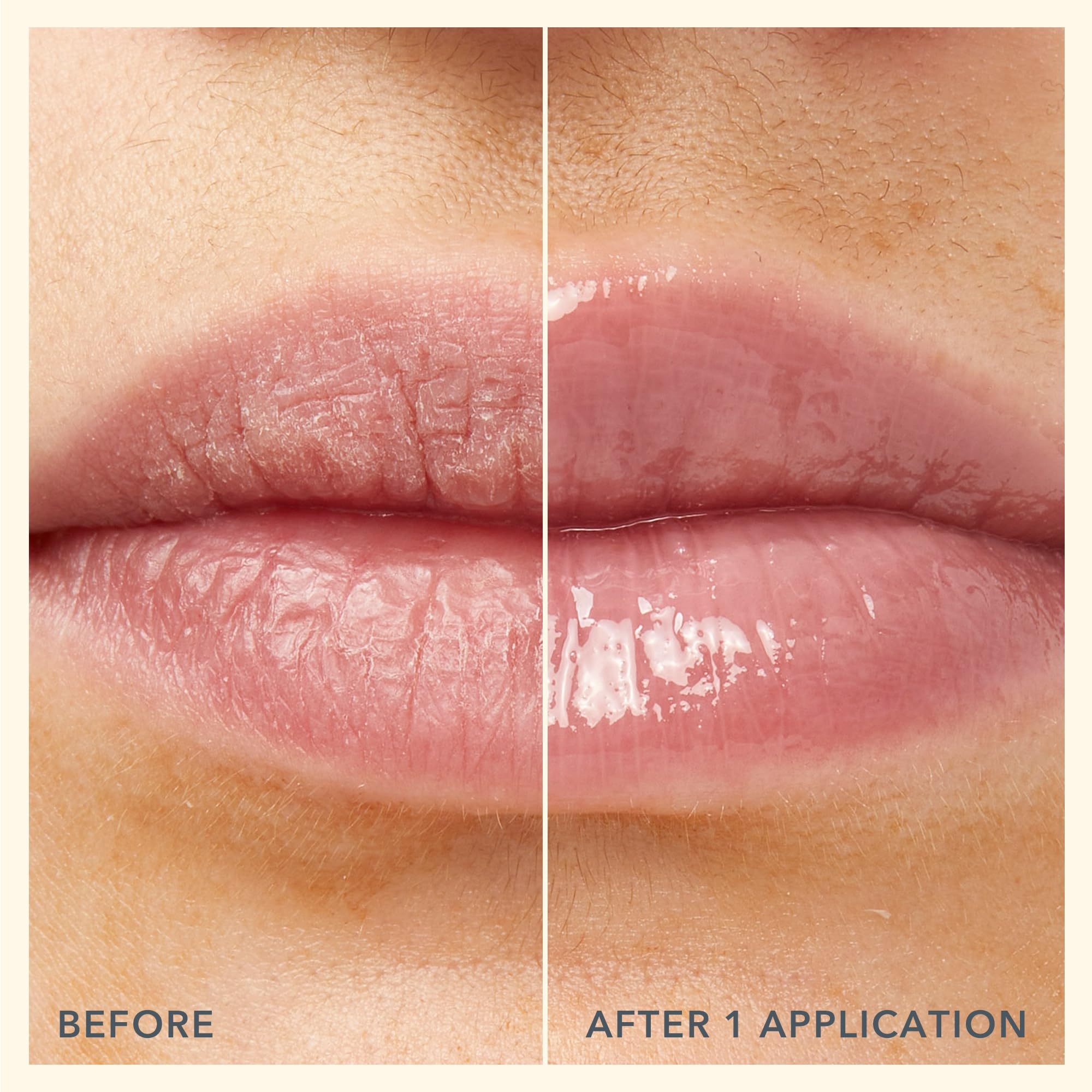 Beekman 1802 Oh Mega Milk Lip Oil, ingrédients clés nourrissants pour des lèvres en bonne forme.